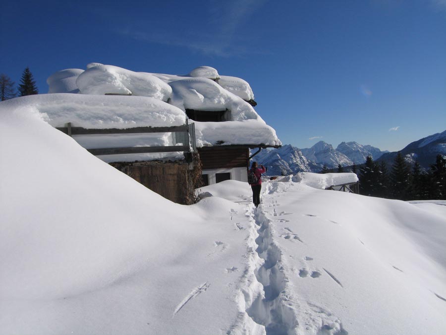 immagini/galleria immagini/IMG 3725 - Rifugio Costapiana - Valle di Cadore